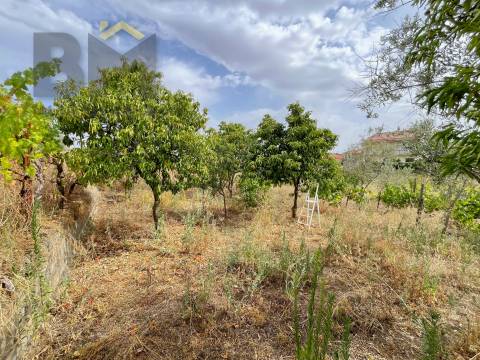 Terreno Urbano  Venda em Castelo Branco,Castelo Branco