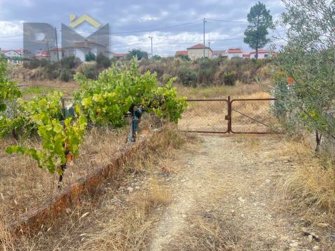 Terreno Urbano  Venda em Castelo Branco,Castelo Branco