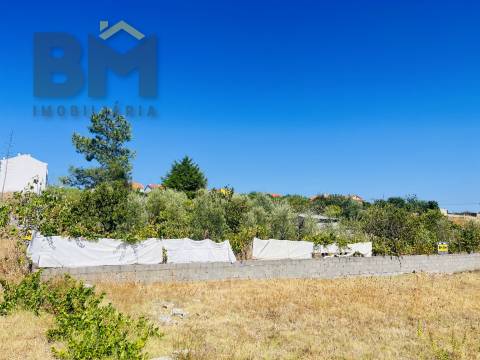 Terreno Urbano  Venda em Castelo Branco,Castelo Branco