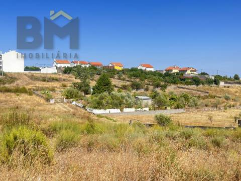 Terreno Urbano  Venda em Castelo Branco,Castelo Branco