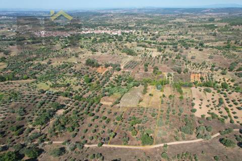 Terreno Rústico  Venda em Toulões,Idanha-a-Nova