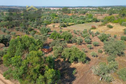 Terreno Rústico  Venda em Toulões,Idanha-a-Nova