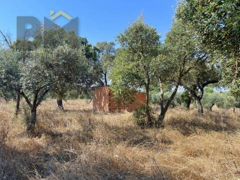 Terreno Rústico  Venda em Toulões,Idanha-a-Nova
