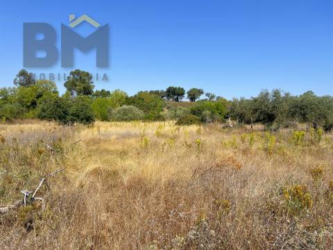 Terreno Rústico  Venda em Toulões,Idanha-a-Nova