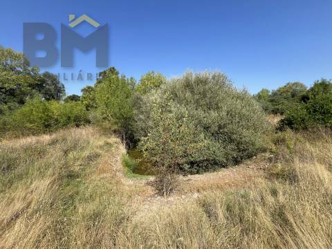 Terreno Rústico  Venda em Toulões,Idanha-a-Nova