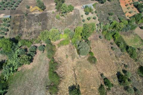 Terreno Rústico  Venda em Toulões,Idanha-a-Nova