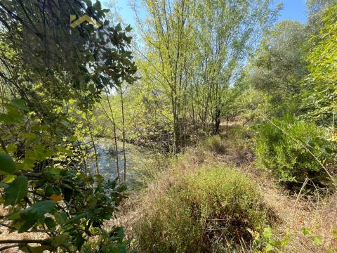Terreno Rústico  Venda em Toulões,Idanha-a-Nova