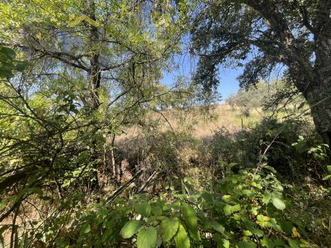 Terreno Rústico  Venda em Toulões,Idanha-a-Nova