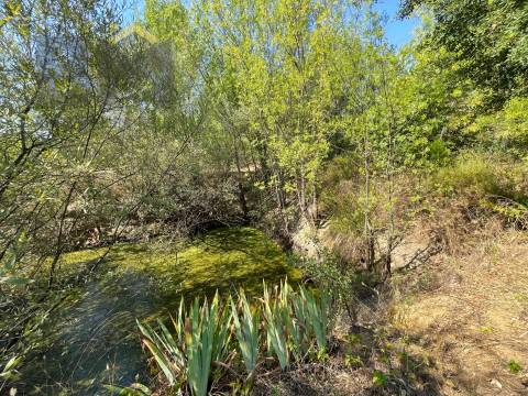 Terreno Rústico  Venda em Toulões,Idanha-a-Nova