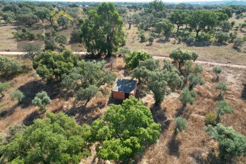Terreno Rústico  Venda em Toulões,Idanha-a-Nova