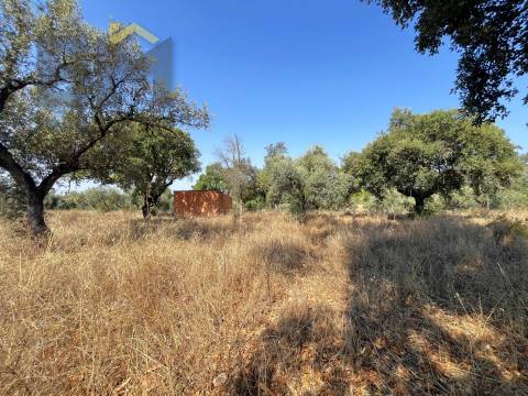 Terreno Rústico  Venda em Toulões,Idanha-a-Nova