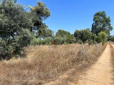 Terreno Rústico  Venda em Toulões,Idanha-a-Nova