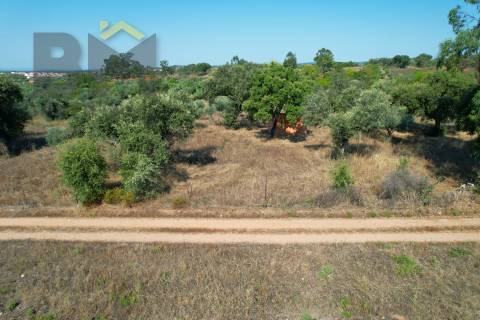 Terreno Rústico  Venda em Toulões,Idanha-a-Nova