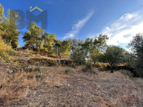 Terreno Rústico  Venda em Ninho do Açor e Sobral do Campo,Castelo Branco