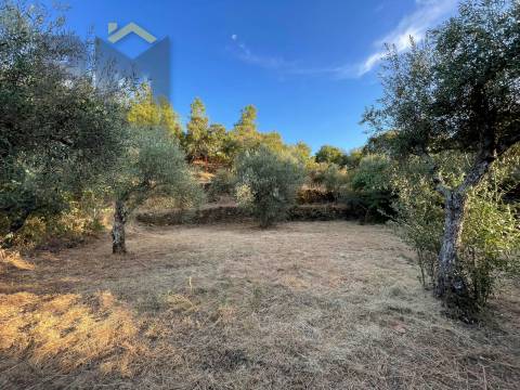 Terreno Rústico  Venda em Ninho do Açor e Sobral do Campo,Castelo Branco