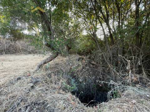 Terreno Rústico  Venda em Ninho do Açor e Sobral do Campo,Castelo Branco