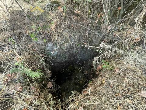 Terreno Rústico  Venda em Ninho do Açor e Sobral do Campo,Castelo Branco