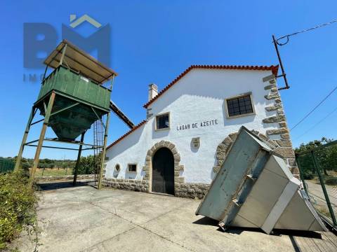 Lagar de Azeite  Venda em Freixial e Juncal do Campo,Castelo Branco