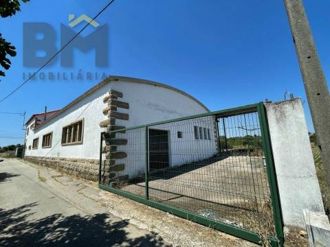 Lagar de Azeite  Venda em Freixial e Juncal do Campo,Castelo Branco