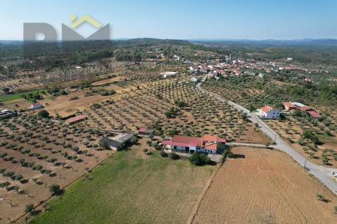 Lagar de Azeite  Venda em Freixial e Juncal do Campo,Castelo Branco