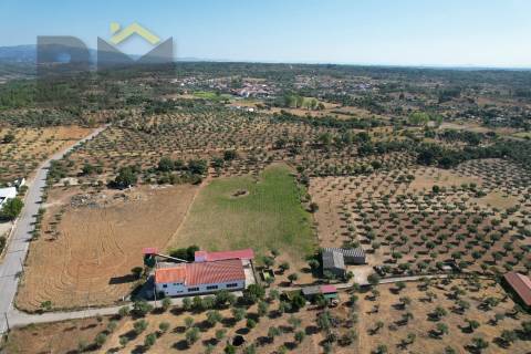 Lagar de Azeite  Venda em Freixial e Juncal do Campo,Castelo Branco