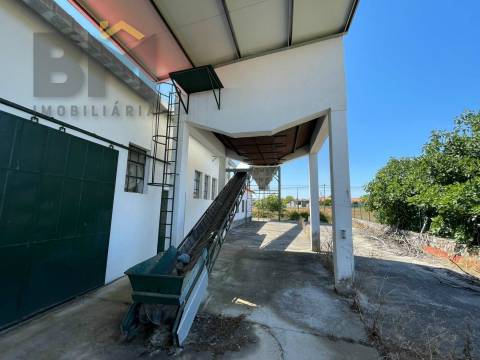 Lagar de Azeite  Venda em Freixial e Juncal do Campo,Castelo Branco