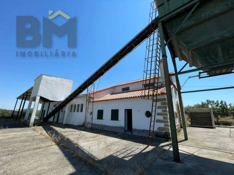 Lagar de Azeite  Venda em Freixial e Juncal do Campo,Castelo Branco