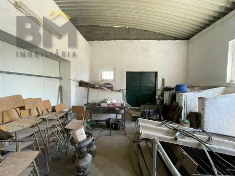 Lagar de Azeite  Venda em Freixial e Juncal do Campo,Castelo Branco