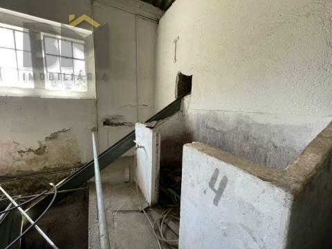 Lagar de Azeite  Venda em Freixial e Juncal do Campo,Castelo Branco