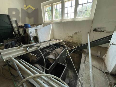 Lagar de Azeite  Venda em Freixial e Juncal do Campo,Castelo Branco