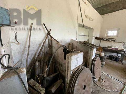 Lagar de Azeite  Venda em Freixial e Juncal do Campo,Castelo Branco