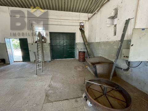 Lagar de Azeite  Venda em Freixial e Juncal do Campo,Castelo Branco