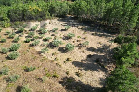 Terreno Rústico  Venda em Salgueiro do Campo,Castelo Branco