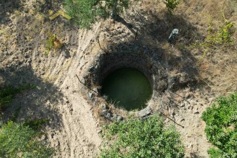 Terreno Rústico  Venda em Salgueiro do Campo,Castelo Branco