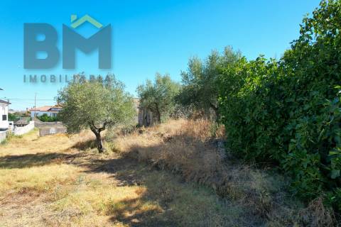 Terreno Para Construção  Venda em Alcains,Castelo Branco