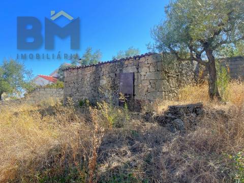 Terreno Para Construção  Venda em Alcains,Castelo Branco
