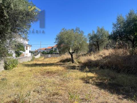 Terreno Para Construção  Venda em Alcains,Castelo Branco