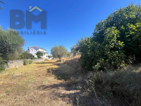 Terreno Para Construção  Venda em Alcains,Castelo Branco