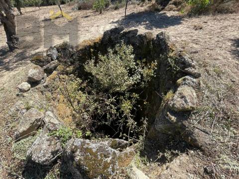 Quintinha  Venda em Freixial e Juncal do Campo,Castelo Branco