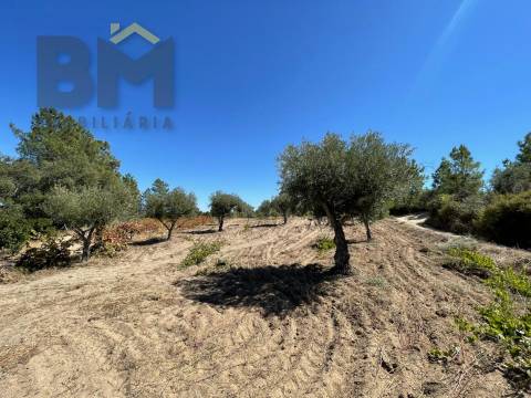 Quintinha  Venda em Freixial e Juncal do Campo,Castelo Branco