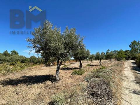 Quintinha  Venda em Freixial e Juncal do Campo,Castelo Branco