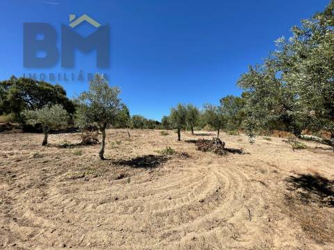 Quintinha  Venda em Freixial e Juncal do Campo,Castelo Branco
