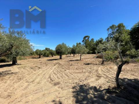 Quintinha  Venda em Freixial e Juncal do Campo,Castelo Branco