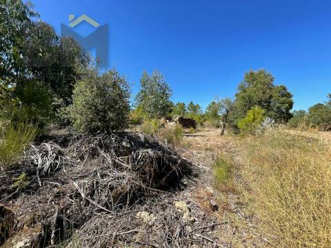 Quintinha  Venda em Freixial e Juncal do Campo,Castelo Branco