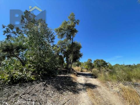 Quintinha  Venda em Freixial e Juncal do Campo,Castelo Branco