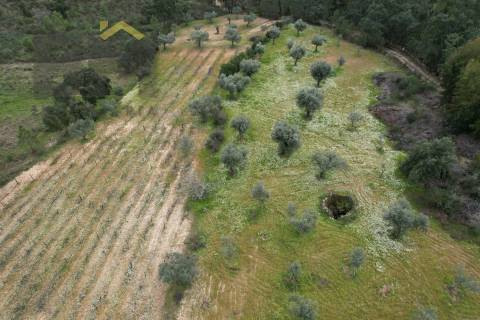 Quintinha  Venda em Freixial e Juncal do Campo,Castelo Branco