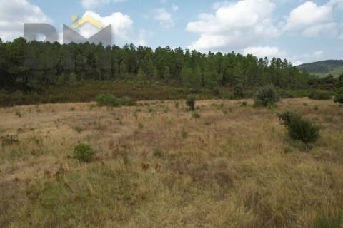 Terreno Rústico  Venda em Penamacor,Penamacor