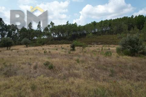Terreno Rústico  Venda em Penamacor,Penamacor