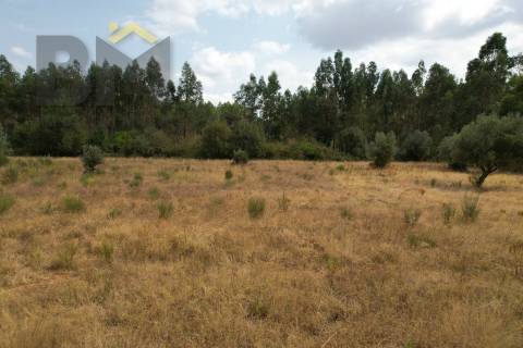 Terreno Rústico  Venda em Penamacor,Penamacor