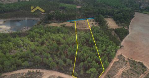 Terreno Rústico  Venda em Penamacor,Penamacor